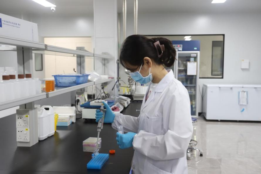K8·凯发(中国)天生赢家·一触即发